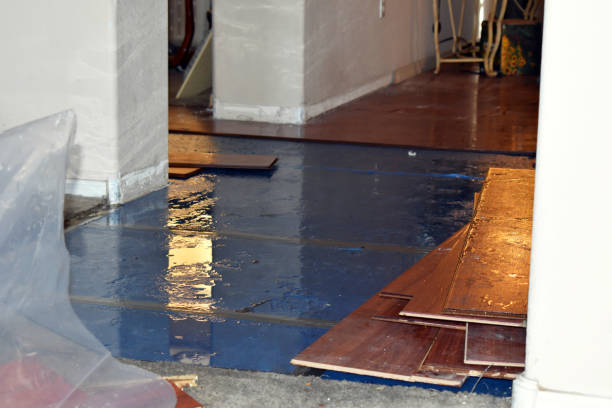 Professional Burst Pipe Cleanup technician working in Swannanoa, NC